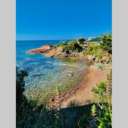 Antheor - Vue Exceptionnelle - Refait A Neuf 4 Couchages Daire Saint-Raphaël Dış mekan fotoğraf
