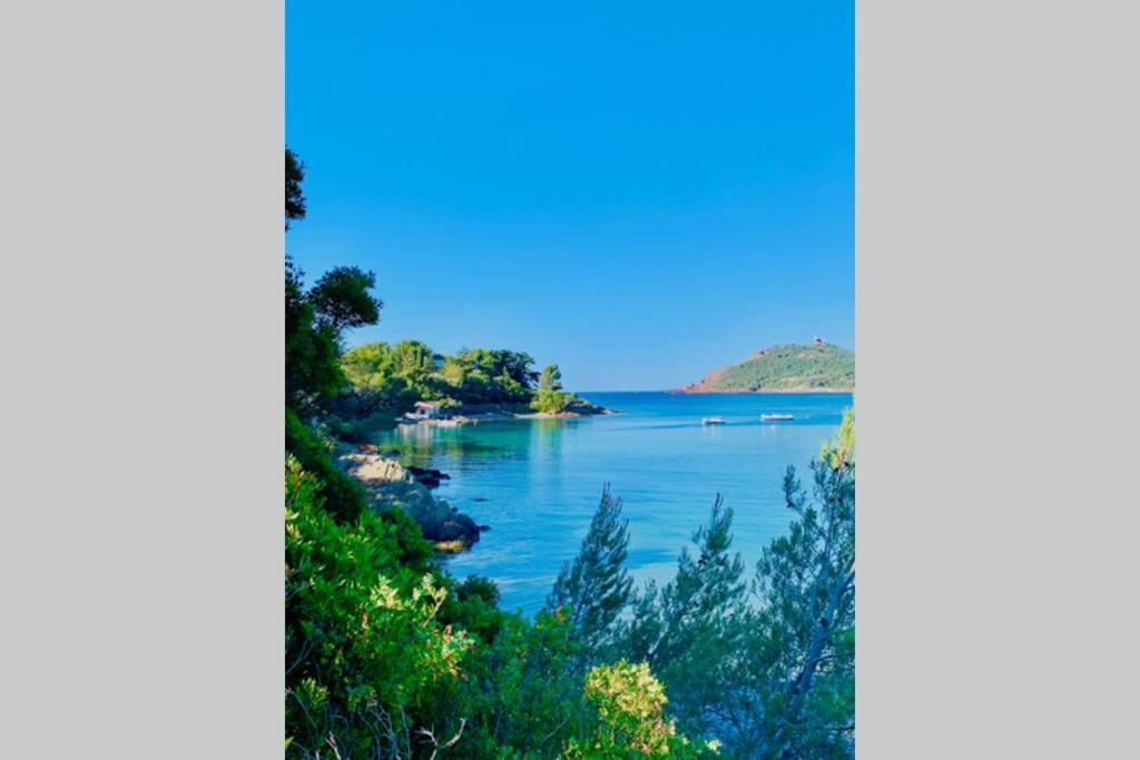 Antheor - Vue Exceptionnelle - Refait A Neuf 4 Couchages Daire Saint-Raphaël Dış mekan fotoğraf