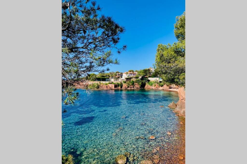 Antheor - Vue Exceptionnelle - Refait A Neuf 4 Couchages Daire Saint-Raphaël Dış mekan fotoğraf