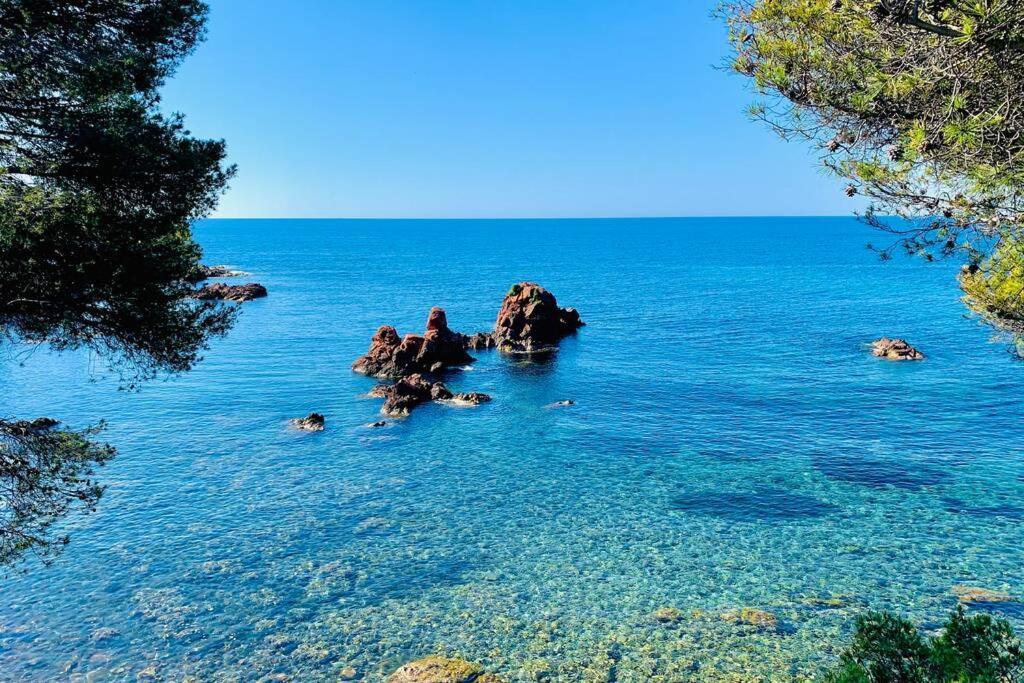 Antheor - Vue Exceptionnelle - Refait A Neuf 4 Couchages Daire Saint-Raphaël Dış mekan fotoğraf