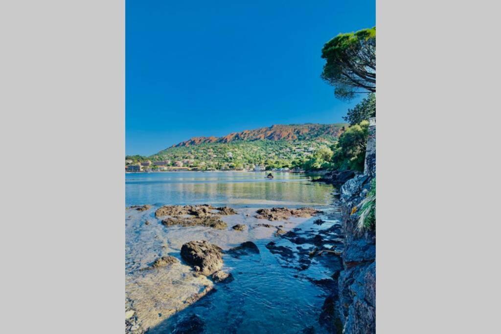 Antheor - Vue Exceptionnelle - Refait A Neuf 4 Couchages Daire Saint-Raphaël Dış mekan fotoğraf